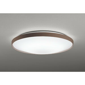 �I�[�f���b�N[OL291560R]�V�[�����O���C�g