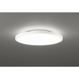 �I�[�f���b�N[OL291618BR]�V�[�����O���C�g