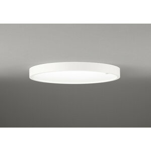 �I�[�f���b�N[OL291622CR]�V�[�����O���C�g