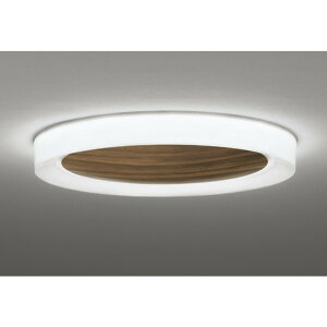 �I�[�f���b�N[OL291665BR]�V�[�����O���C�g