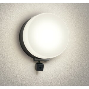 �I�[�f���b�N[OG264108LCR]�G�N�X�e���A