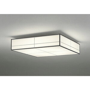 �I�[�f���b�N[OL251838R]�a���Ɩ�