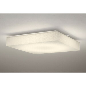 �I�[�f���b�N[OL291594R]�a���Ɩ�