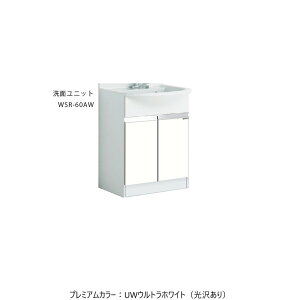 hONEDO[WSR-60AW-P]ʉϑWSR