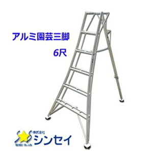 VZC[SIN-06]A~|Ori|tj