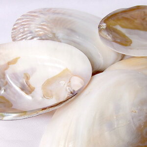 VRL̂M LM Lk  VR p[Xg[yӃZ[zyX[p[SALE×X[p[Z[×}\×|CgAbvz