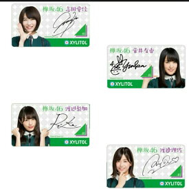 (選べる4種類)欅坂46 ロッテ/キシリトールXYLITOL マグネットシート【コレクション】【感謝セール】【パワーツール】【スーパーSALE×スーパーセール×お買い物マラソン×ポイントアップ】【797615】