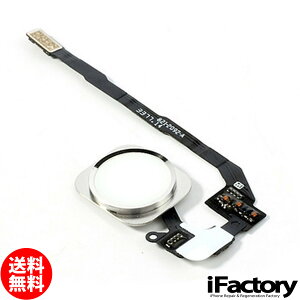 iPhone5s/SE z[{^P[u Vo[ C pyAp[c