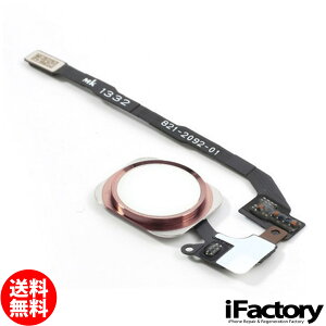 iPhoneSEiꐢjz[{^P[u [YS[h C pyAp[c