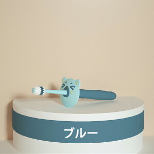 yłISi8%OFFN[|z  K 5{Zbg 360x uV q xr[ LbY K ǂ 360° uV xr[uV qpuV Ԃ񎕃uV q