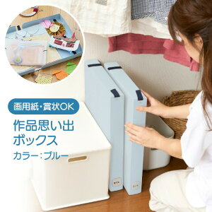 ��i�{�b�N�X �v���o�{�b�N�X ���[�{�b�N�X �{�b�N�X�t�@�C�� ���Еt�� ��p�� ���̍�i �H�� �܏� ��i �v���o ��e�� �R���p�N�g��i�o�b�O ���� �{�I �i���yFDC�z/��i�v���o�{�b�N�X�僉