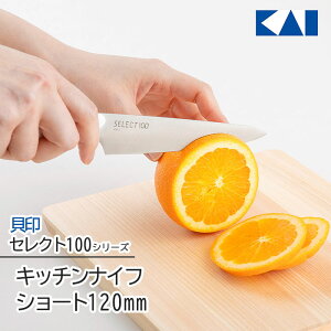 yeBiCt iCt ʕiCt L KAI ZNg100 Vv SELECT100 ɓ Lb`pi  t[c HΉ y60z/ZNg100Lb`iCtV[g120mm