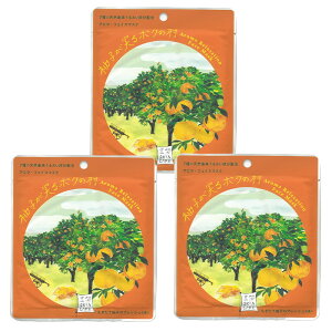 tFCX}XN tFCXpbN 3Zbg pbN tFCXV[g pbN { Rbg100 XLPA 邨 et A}   ێ v`Mtg yzyENz/ztFCX