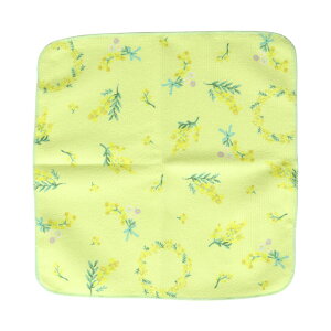 nh^I 25cm ` ~j^I ^I tFCX^I nJ` ~jnJ` ԕ ϔ pbP[Wt ̓ v`Mtg v[g RpNgTCY `OX֔yKi