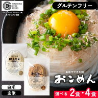 米粉麺 グルテンフリー 広島県産 小麦不使用 おこめん 白米麺 玄米麺 2食 4食 各1食 おこめん工房 農家 …