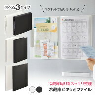 【スーパーSALE中P5倍】収納ファイル スッキリ収納 小物収納 書類収納 郵便物 ごちゃごちゃ まとめる す…