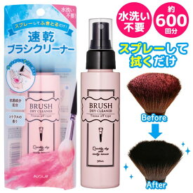 クリーナー ブラシ用 速乾性 90ml スプレータイプ 600回分 大容量 メイクブラシ お掃除 化粧筆 メイク用ブラシ お掃除 綺麗に 保つ 長持ち 肌 清潔【▲5】【HNB】/ブラシドライクリーナー1個