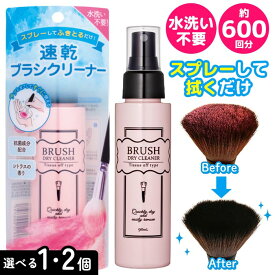【マラソン中P5倍】クリーナー ブラシ用 メイクブラシクリーナー 速乾性 90ml スプレータイプ 600回分 大容量 メイクブラシ お掃除 化粧筆 メイク用ブラシ お掃除 綺麗に 保つ 長持ち 肌 清潔【▲5】/ブラシドライクリーナー