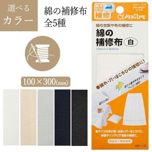 Cz  100×300mm PF  x[W O[   j  ق C ACڒ ΂̏ł H ق  CeApi ֗ ʗX֔yz/Ȃ̕Cz