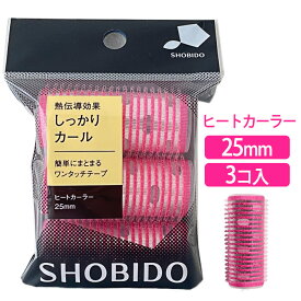 ヒートカーラー L 3個 25mm カーラー カール 巻く伝導効果 巻き髪 ホットカーラー ヘアアレンジ ヘアセット ヘア小物 ヘア用品 素早く ヘアアレンジ SPV40019 【▲】/ヒートカーラーL3P