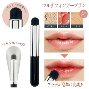 CNuV ϕM wuV ׂ }`uV h[^ ӂӂ  CN pE_[ N[ Lbh uVJo[t Of[V ȒP R i` yz/}