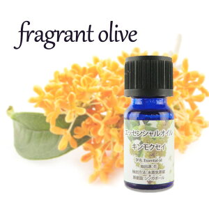 GbZVIC 10ml 8ނ̍  LNZC [Y x_[ O[vt[c [J IW [Y}[ VK|[ EBL  A} r yz/GbZ