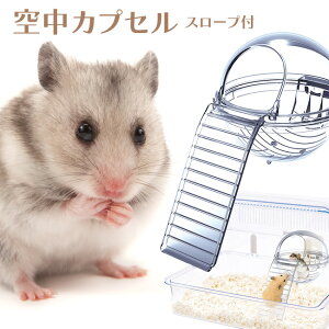マルカン クリーンハウス 空中カプセル ハムスター お部屋 遊べる スローブ付き 小動物 ハムちゃん 中が見える 安心 安全 お気に入り 【☆60】【EN】【LPE】/クリーンハウス空中カプセル