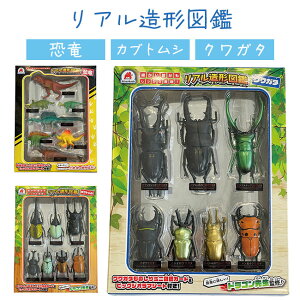  tBMA IuWF A   JugV NK^   3D 7  ׋ J[h V[g y VтȂ wׂ V[Y ו  {݂y5zyENz/