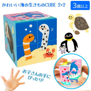 �L���[�u ���킢���C�̐������� 6��ނ̐����� �V���` �y���M�� �j�V�L�A�i�S �`���A�i�S �E�~�K�� ���b�R �C���J CUBE 2×2 ���ǂ� �q�ǂ� �m��ߋ� �C�̐�����6��� �j�̎q ���̎q ��`�O�X��