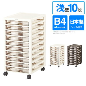 AvXB4 ^ 10i ^[P[X ރP[X [BOX [P[Xy[J[zy252z/