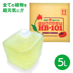 A͍ oCI VR K[fjO K[f  | A ͔| ؍ L@͔| h{ t/t[ A͍ HB-101  t5L