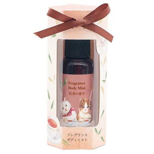 v~eB[tOX{fB~Xg 50ml 2ނIׂ t{fB~Xg g̍ g̍ ݂ {fBXv[ D ێ y5zyENz/v~eB