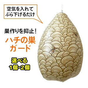 n`̑K[h n`̑ K[h n` I } C Ԃ牺邾 AȌ n`̑΍ eg x_ c q H  Lv AEghA yz/n`