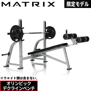 オリンピックデクラインベンチ G1-FW165 オリンピックベンチ トレーニングベンチ ベンチプレス フリーウエイト ベンチ 業務用 G1シリーズ FW165 ジョンソン ジョンソンヘルステック ウエイトト