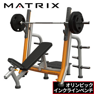 トレーニングベンチ インクラインベンチ トレーニングマシンの人気商品 通販 価格比較 価格 Com