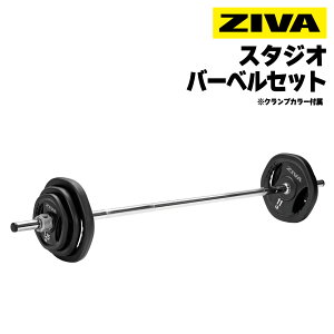 yƖpzX^WIo[xZbg o[ EGCgfBXN 1.25kg 2.5kg 5kg NvJ[ V[go[ a39mm 140cm 19.5kg o[x O[vg[jO ؃g tBbglX GNTTCY g