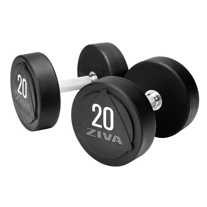 楽天市場】【業務用】ダンベル DUMBBELL 10個 5ペアセット 12kg 14kg 