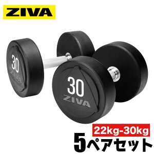 yƖpz_x DUMBBELL 10 5yAZbg 22kg 24kg 26kg 28kg 30kg 22kg-30kg SAC E^ގ X`[ EGCg ̊ ؃g tBbglX GNTTCY g[jO ؃g t