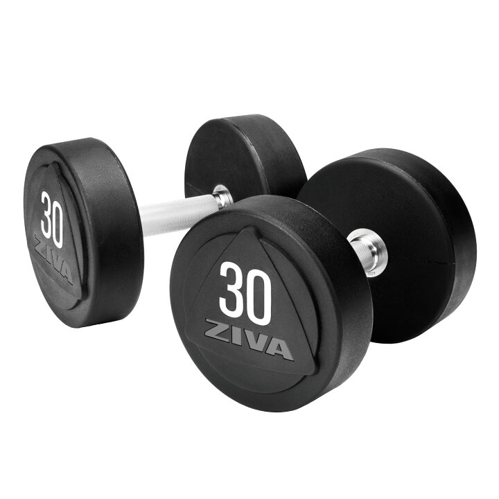 楽天市場】【業務用】ダンベル DUMBBELL 10個 5ペアセット 22kg 24kg 