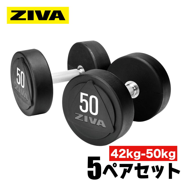 楽天市場】【業務用】ダンベル DUMBBELL 10個 5ペアセット 42kg 44kg 