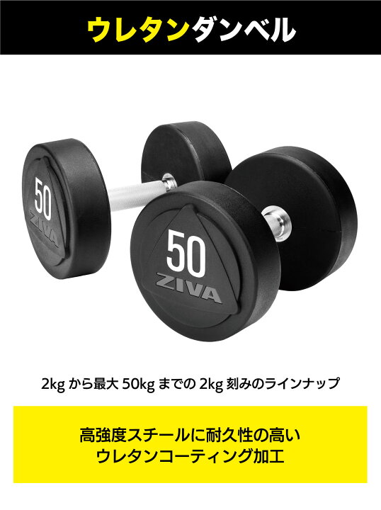 楽天市場】【業務用】ダンベル DUMBBELL 10個 5ペアセット 42kg 44kg 