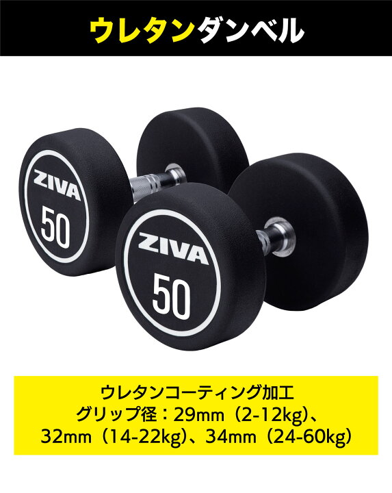 LIVEPRO ﾌﾟﾚﾐｱﾑ ｳﾚﾀﾝ ﾀﾞﾝﾍﾞﾙ 46kg 1ペア
