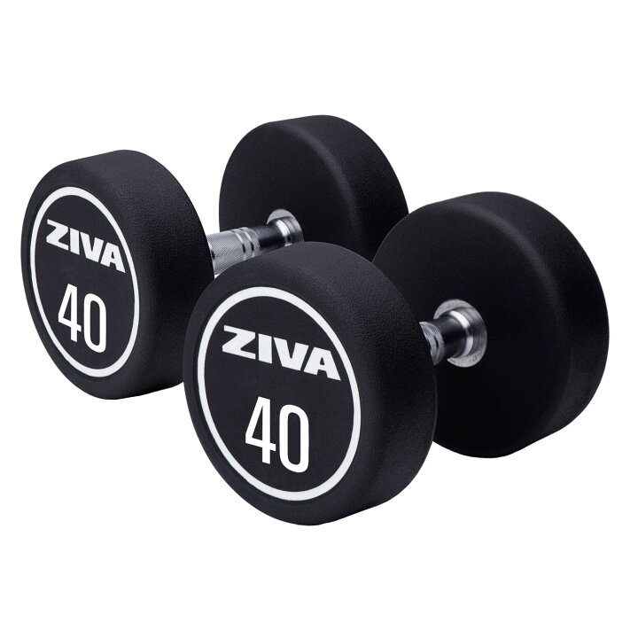 楽天市場】【業務用】ダンベル DUMBBELL 20個 10ペアセット 22kg 24kg 