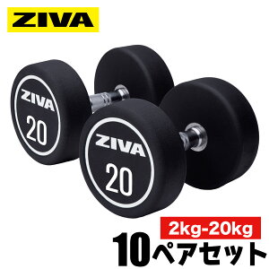 yƖpz_x DUMBBELL 20 10yAZbg 2kg 4kg 6kg 8kg 10kg 12kg 14kg 16kg 18kg 20kg 2kg-20kg SAC E^ގ EGCg ̊ ؃g tBbglX GNTTCY g[jO ؃g