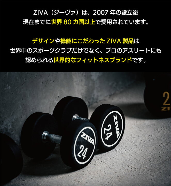 楽天市場】【業務用】ウレタンダンベル 10ペア 20個 1-10kg ダンベル 