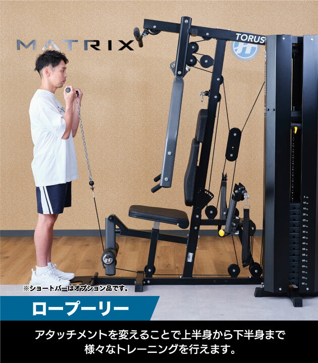 楽天市場】【当店限定モデル】 マルチジム ホームジム TORUS 3 
