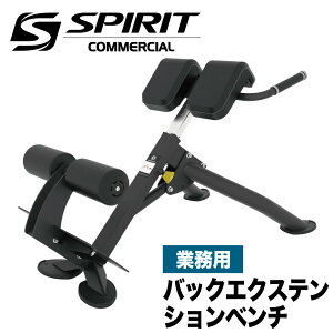 バックエクステンションベンチ SP-4220 業務用 ローマンベンチ トレーニングベンチ 背筋トレーニング 筋トレ 耐荷量280kg ホームジム 脊柱起立筋 トレーニング器具 家トレ ウエイトトレーニン