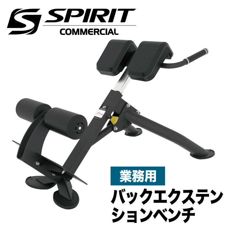 楽天市場】バックエクステンションベンチ SP-4220 業務用 ローマン 