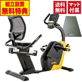 ダイヤコ DYACO SPIRIT SENIOR スピリットシニア フィットネスバイク リカンベントバイク トレーニングバイク エクササイズバイク ルームバイク エアロ バイク フィットネスマシン 準業務用 シニアフィットネス マグネット負荷 静音 高齢者 背もたれ RR100 組立無料 マット