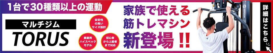 マルチジム ホームジム 筋トレ TORUS トーラス